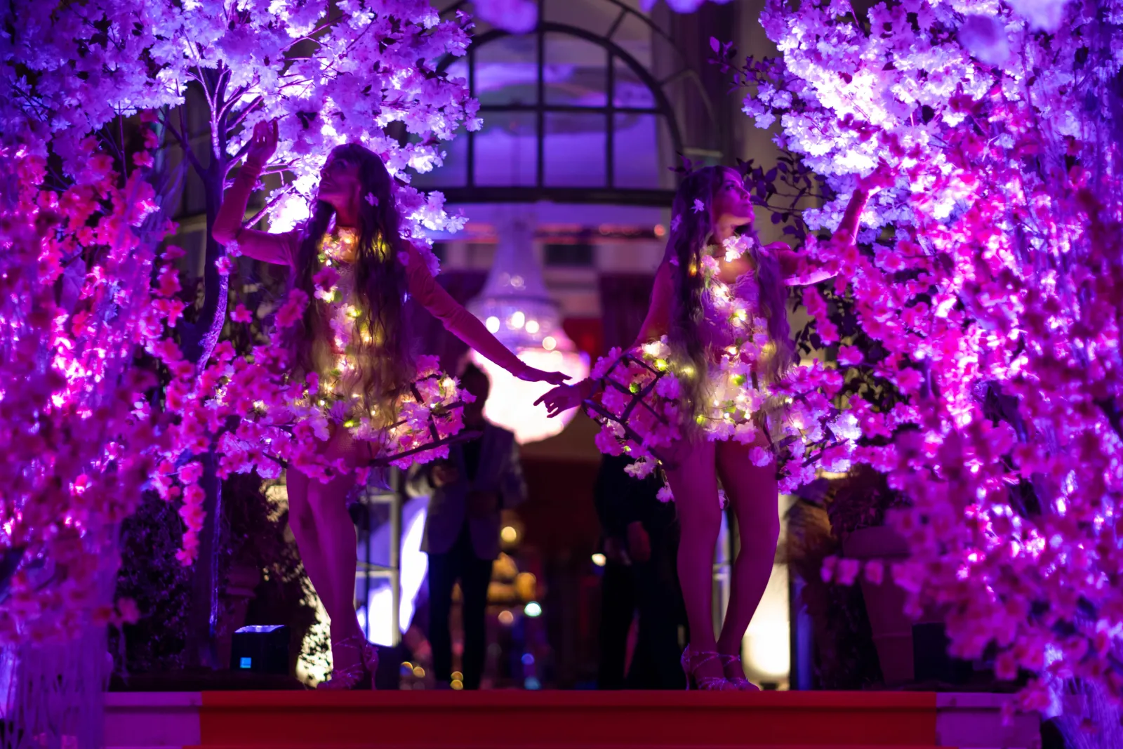 Aftermovie Ice Show by Delice Show - Spectacle sur glace